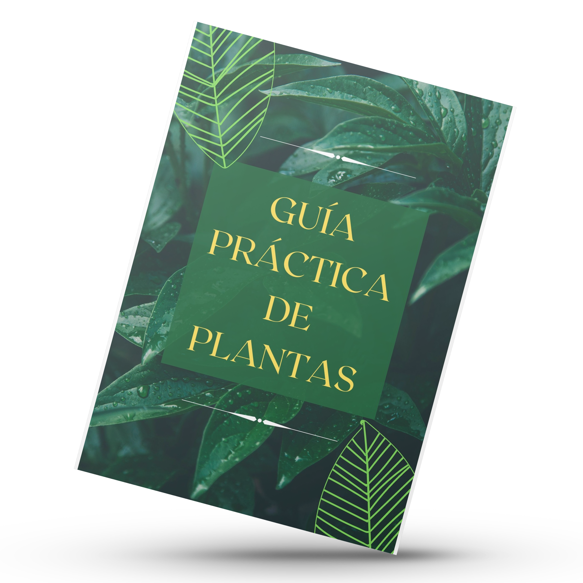 El Arte de Cuidar Plantas