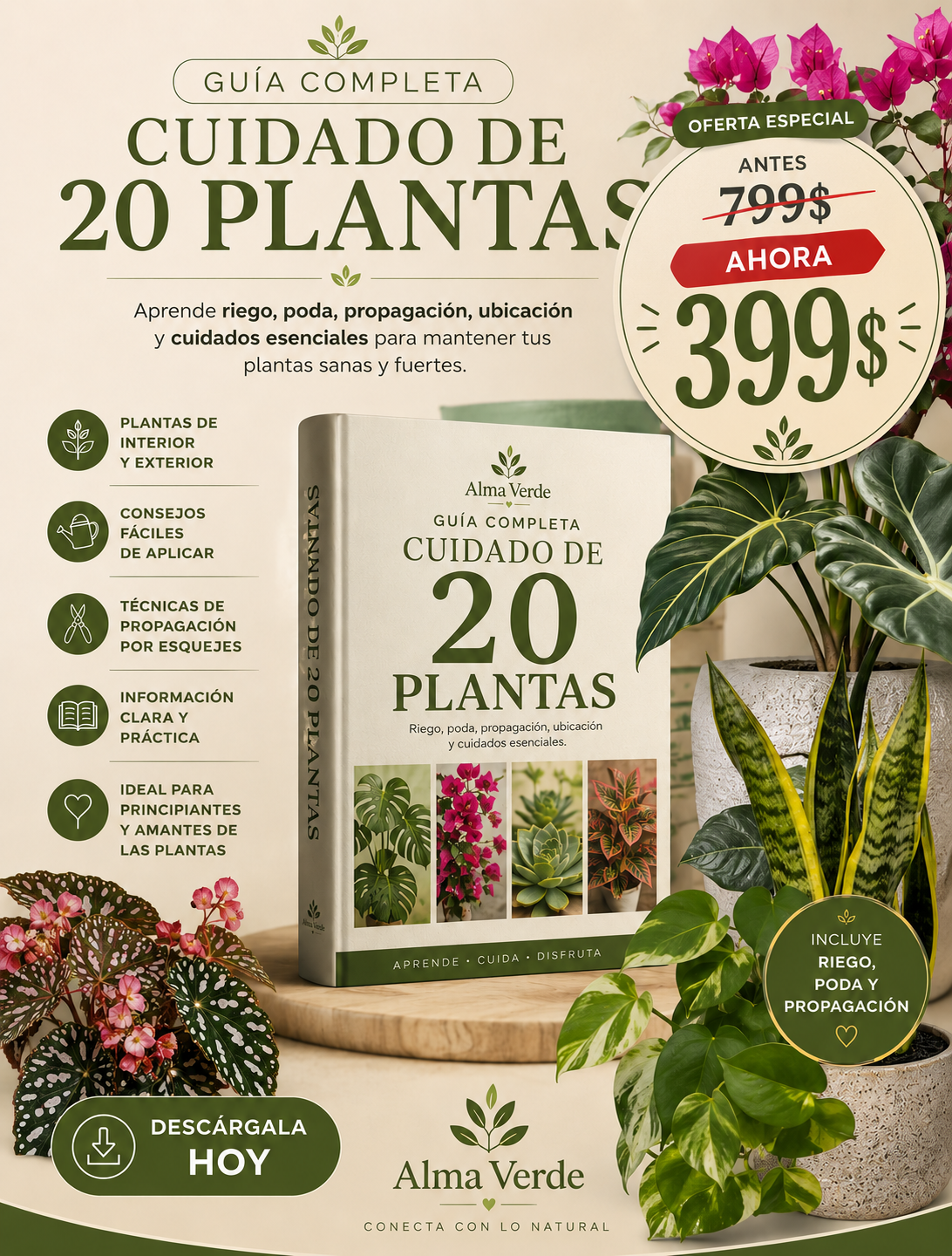 El Arte de Cuidar Plantas